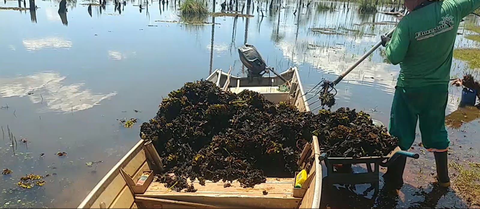 Imagem do WhatsApp de 2024-10-31 à(s) 11.41.00_6d9a4872.jpg