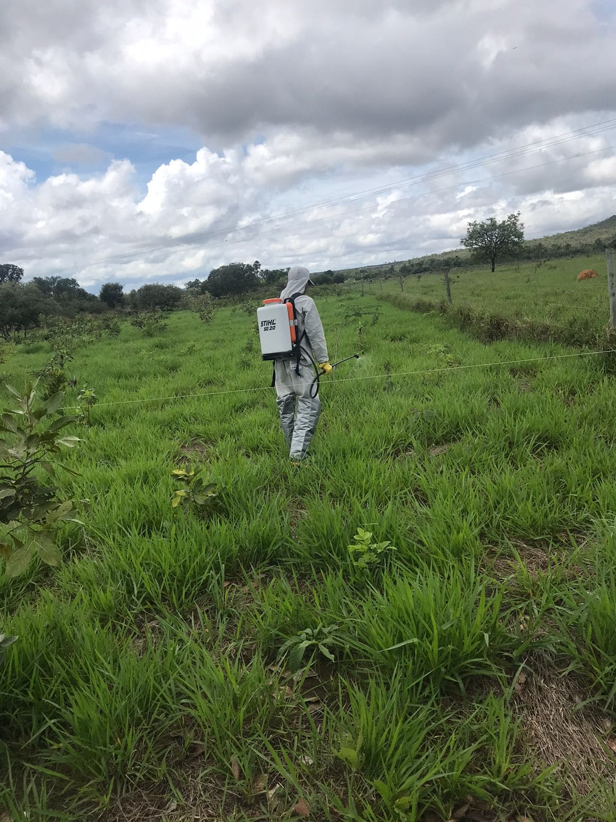 Imagem do WhatsApp de 2024-11-14 à(s) 08.34.43_838803dd.jpg