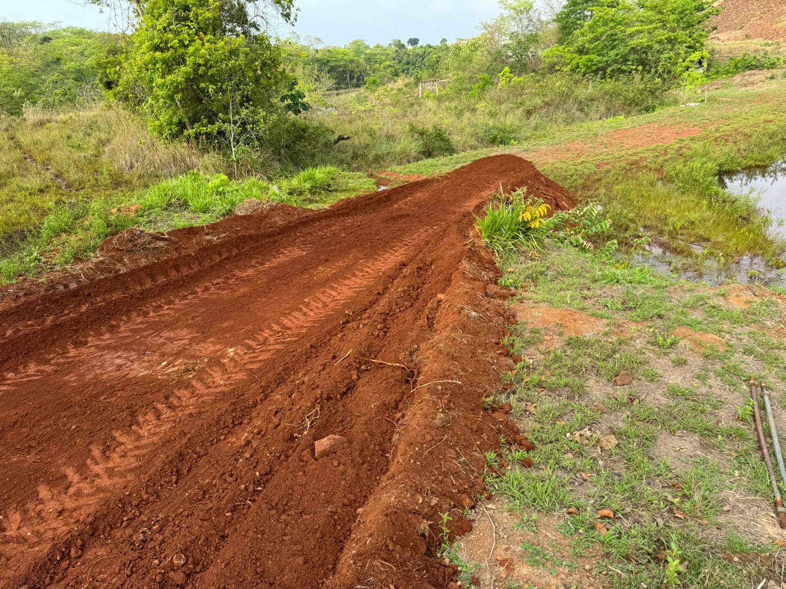 Imagem do WhatsApp de 2024-10-15 à(s) 16.41.00_014c5613.jpg