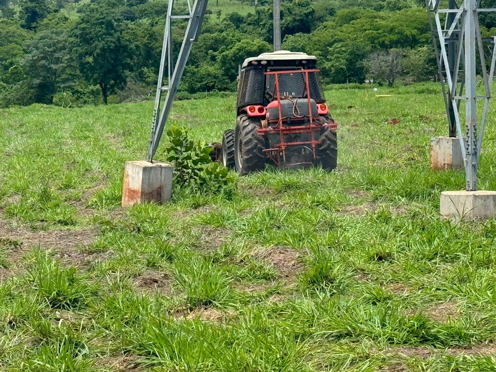 Imagem do WhatsApp de 2024-11-13 à(s) 13.45.43_7bdff022.jpg