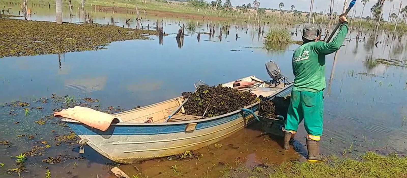 Imagem do WhatsApp de 2024-10-31 à(s) 11.40.59_89579f53.jpg