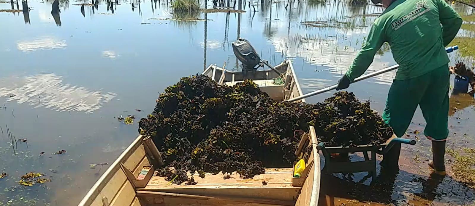 Imagem do WhatsApp de 2024-10-31 à(s) 11.41.00_3eb01df1.jpg