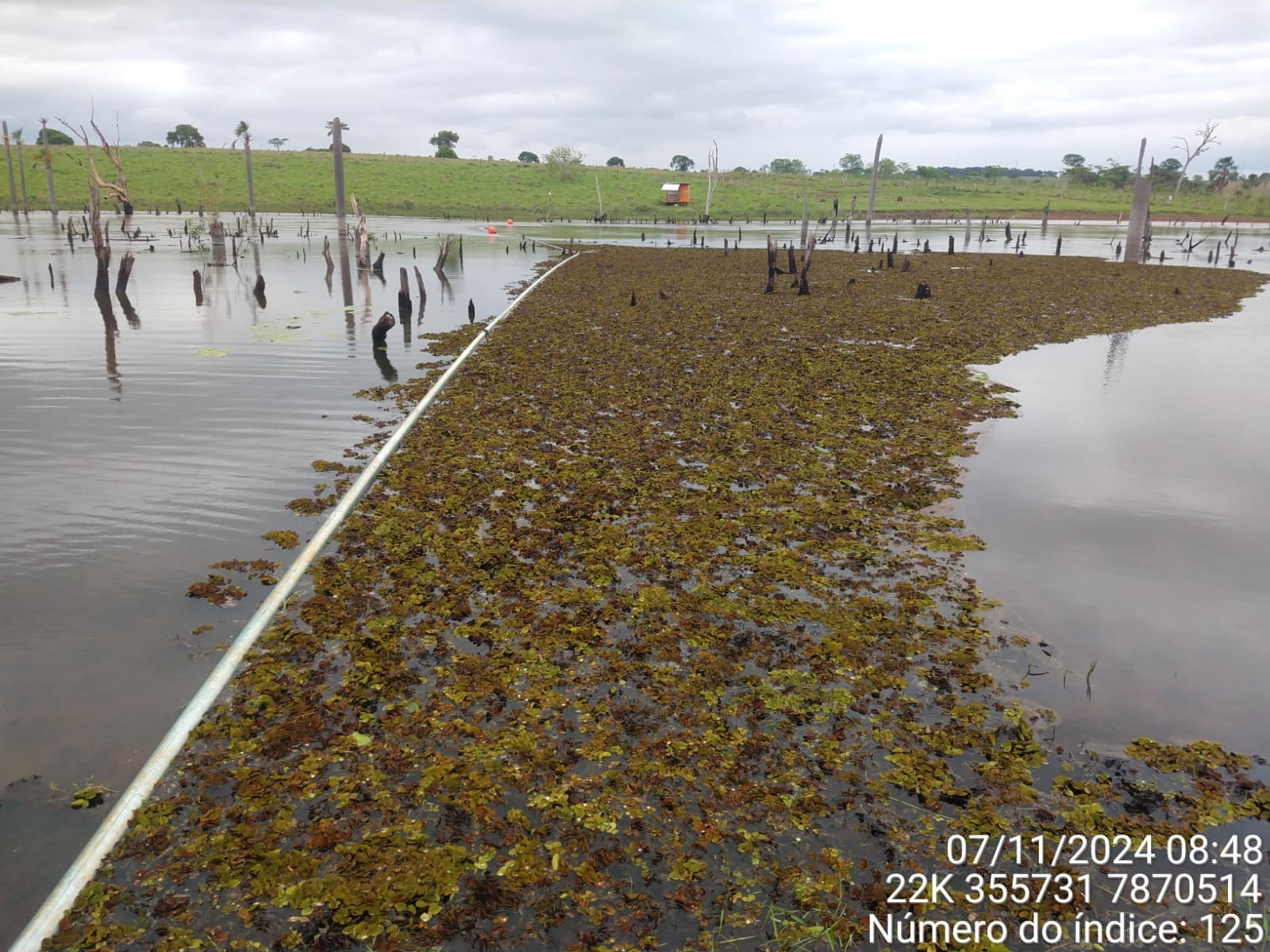 Imagem do WhatsApp de 2024-11-13 à(s) 13.30.49_927ff6ab.jpg