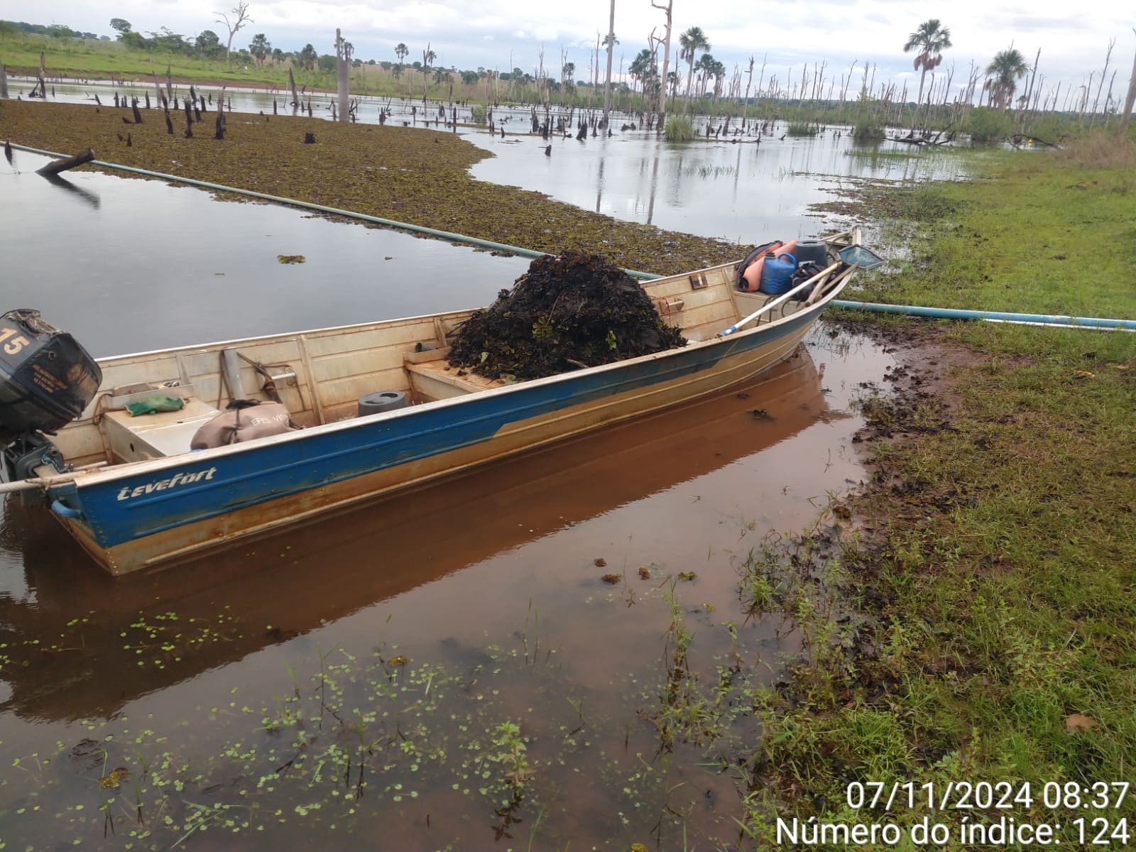 Imagem do WhatsApp de 2024-11-13 à(s) 13.30.48_cd0b2cfb.jpg