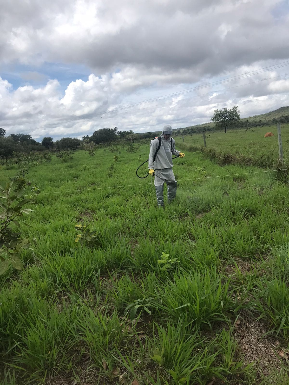 Imagem do WhatsApp de 2024-11-14 à(s) 08.34.43_fa9ec6d3.jpg